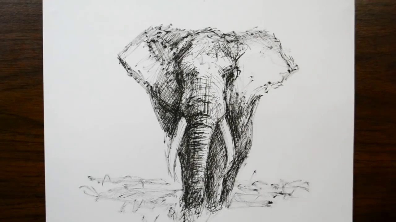 Elephant Pen Drawing at GetDrawings | Free download