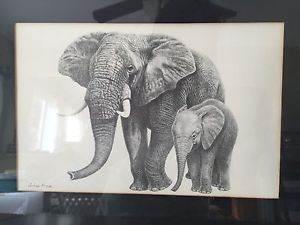 300x225 Andrew Kozak African Elephant Family Black And White Animal Pencil