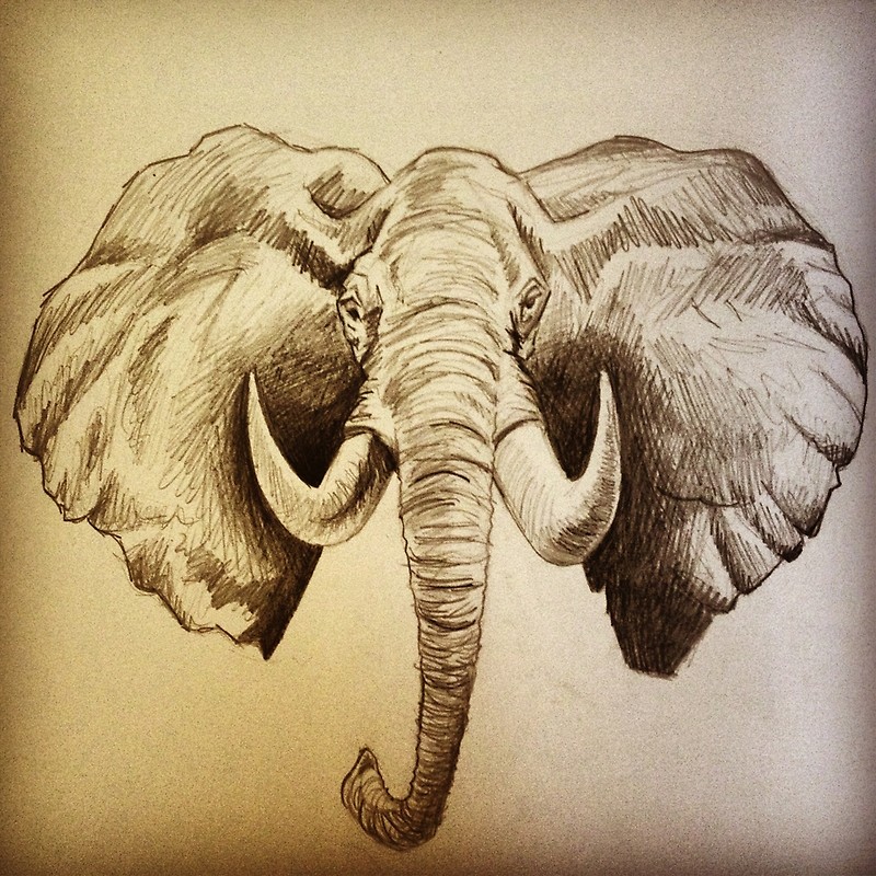 Elephant Pencil Drawing at GetDrawings | Free download