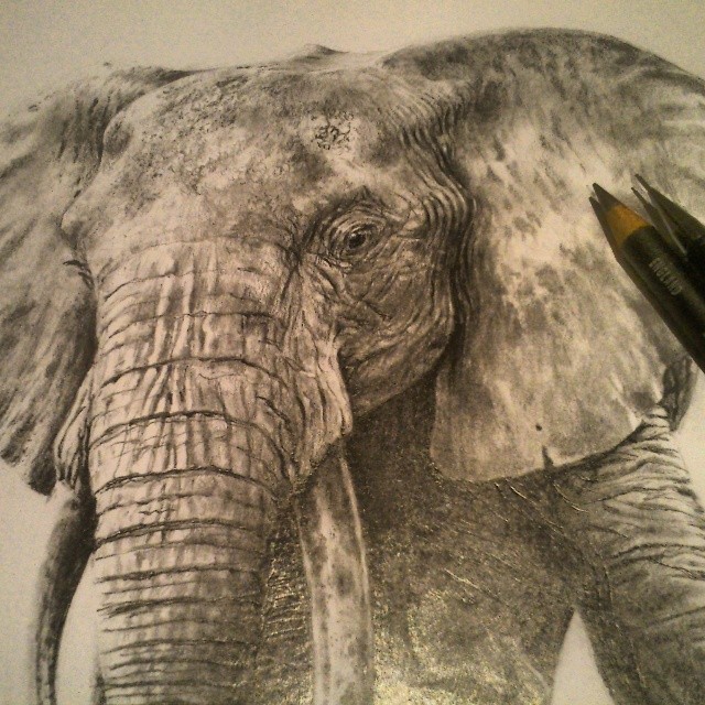640x640 Pencil Drawings Gallery Godfrey Clayton