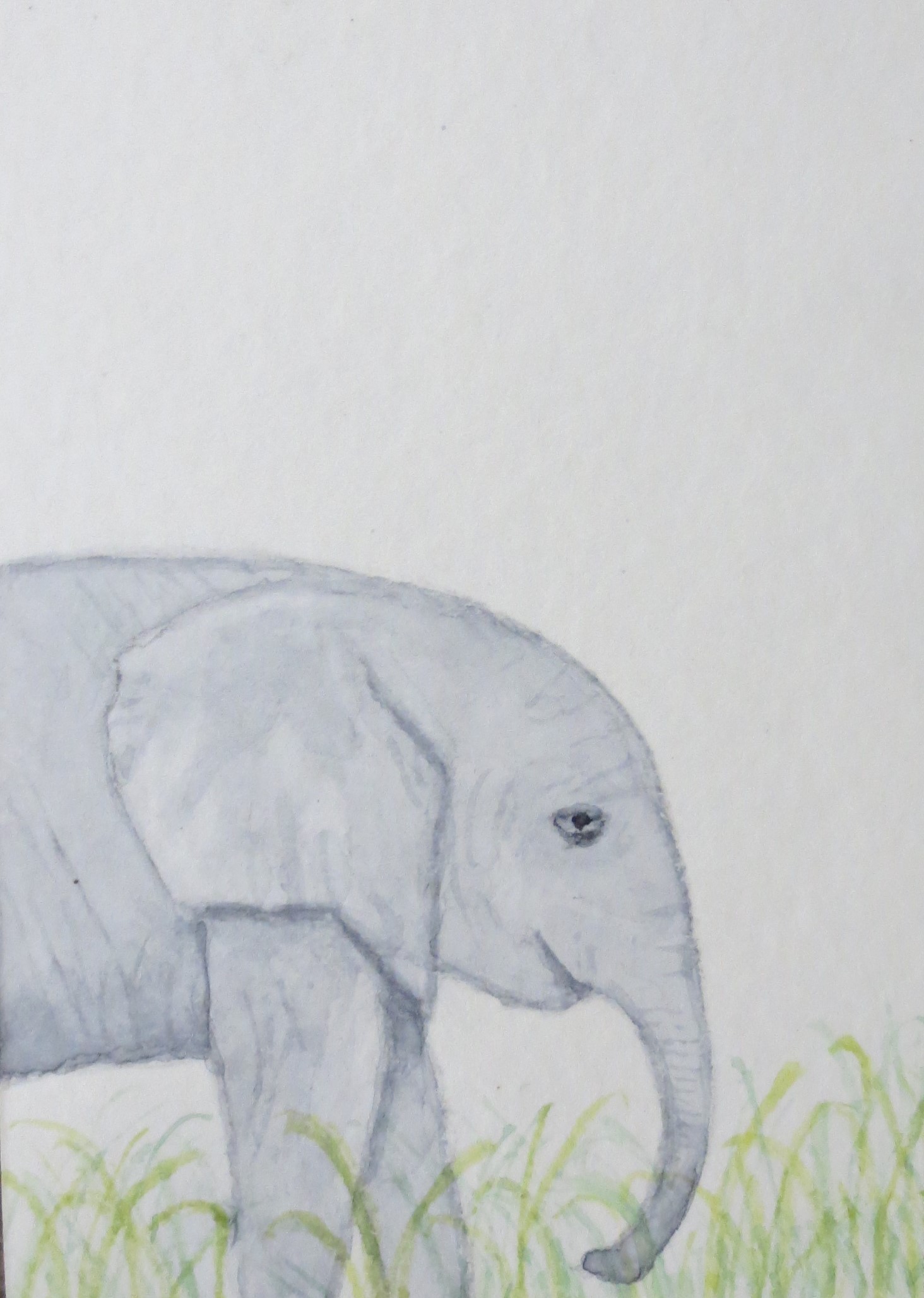 1464x2055 Sleepy Elephant, In Profile By Addison Aceo Original Watercolor