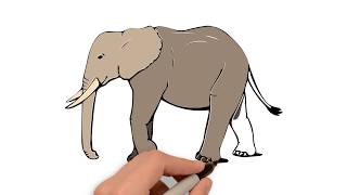 320x180 How To Draw An Elephant Side View
