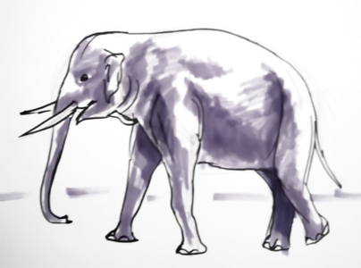 404x300 How To Draw An Elephant