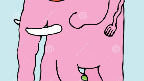 570x320 Simple Drawing Of Elephant Vector Simple Drawing