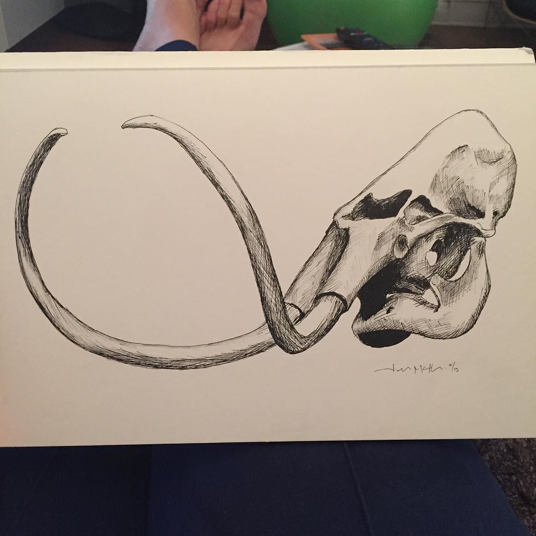 1080x1080 Wooly Mammoth Skull Drawing Tattoo, Tatt And Tattos