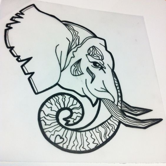 564x564 Elephant Skull