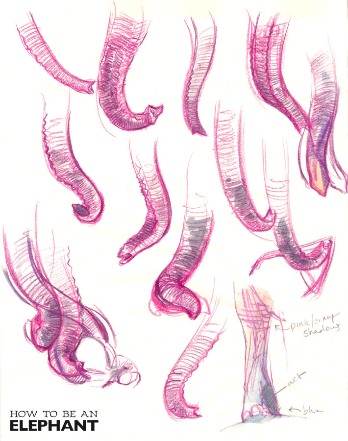 710x900 Katherine Roy Studio Learning Through Sketching