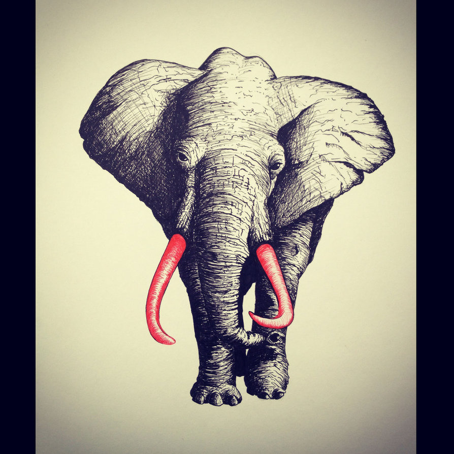 894x894 Elephant Drawing With Red Tusks By Lordcolinoneal