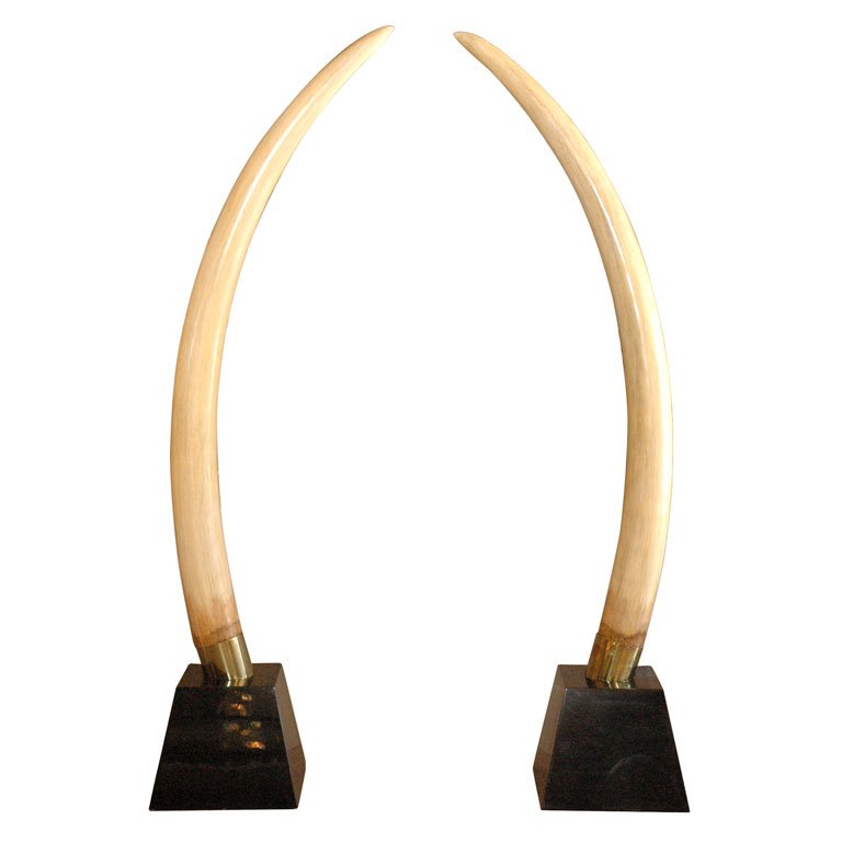 768x768 Resin Elephant Tusks