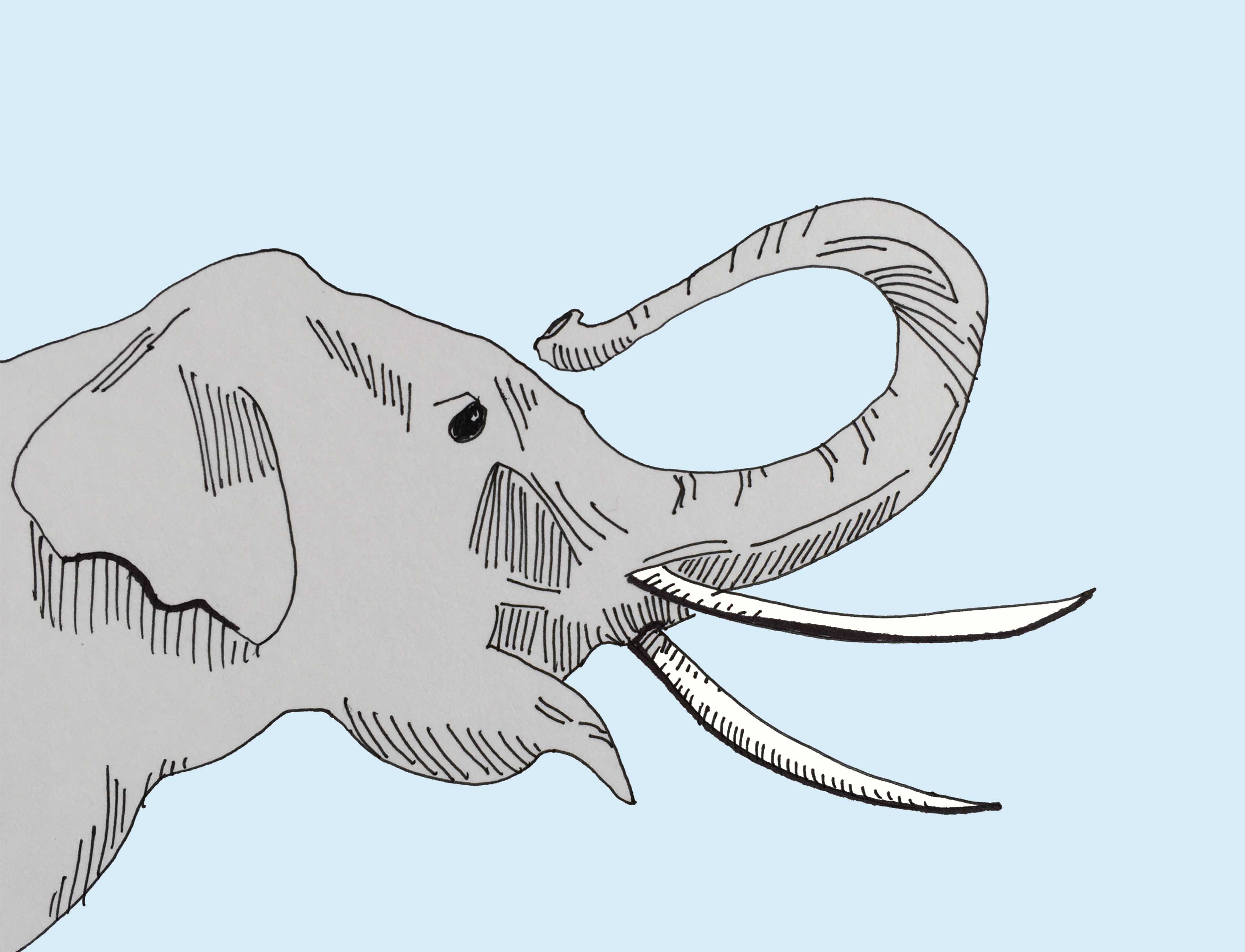 3750x2868 Art Every Day Number 53 Drawing Illustration Big Teeth