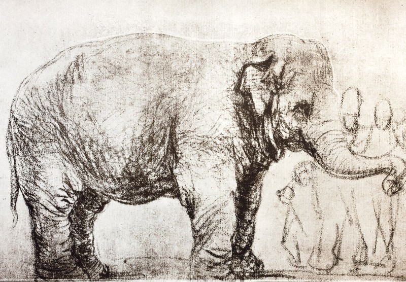 800x556 This Rembrandt Is Science's First Asian Elephant New Scientist