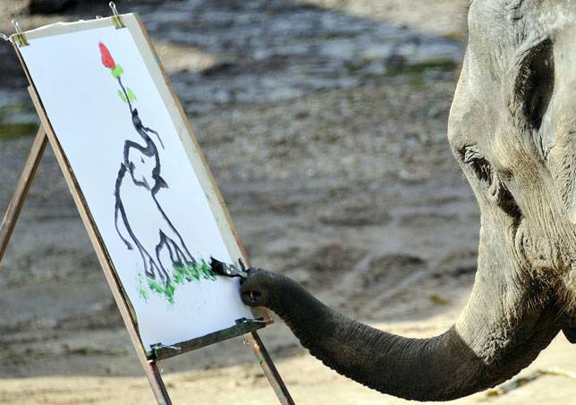 644x453 Can Elephants Really Paint Mnn
