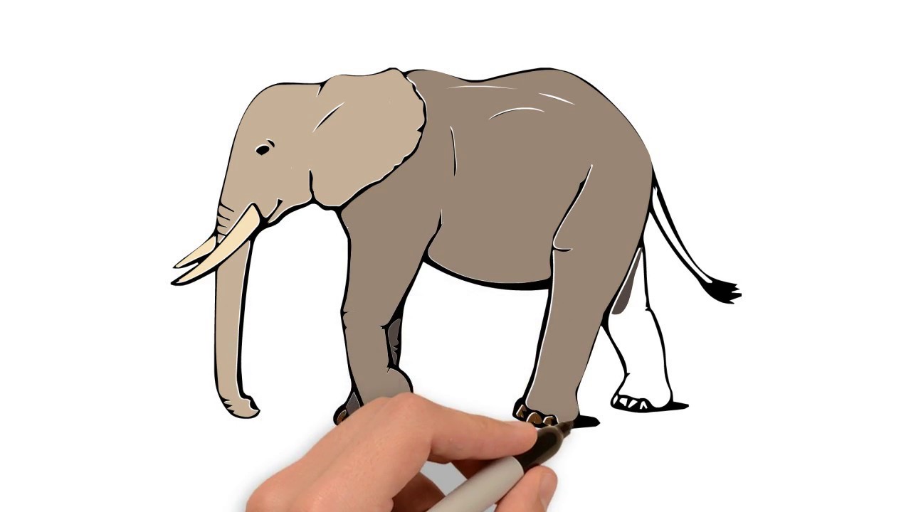 1280x720 How To Draw And Color An Elephant Easiest Drawing Coloring