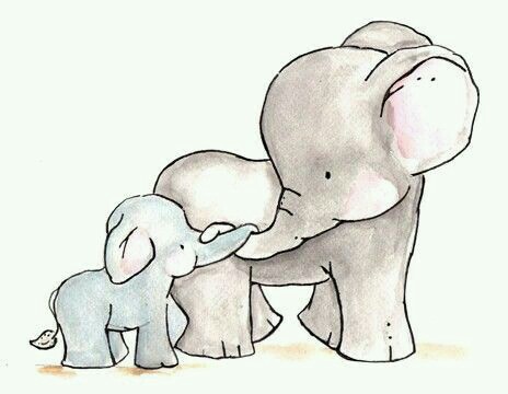464x360 Pencil Drawings Elephants Tumblr Pictures Of Drawing Sketch