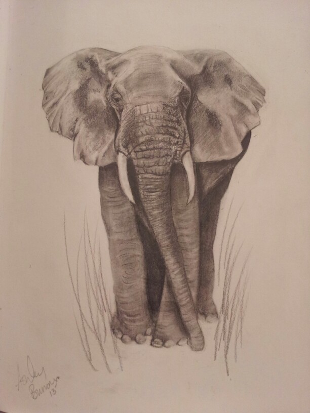 612x816 I Love Drawing Elephants. Elephant Love Draw