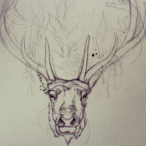 612x612 Newest Tattoo Commission Springtime Elk! Things For My Wall