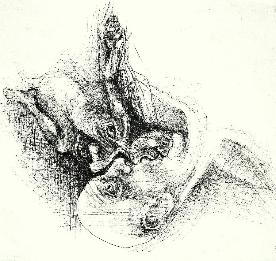 900x853 Embryo Drawing By Monika Juroszek