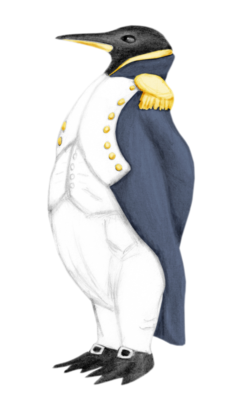 800x1375 Emperor Penguin By Batri