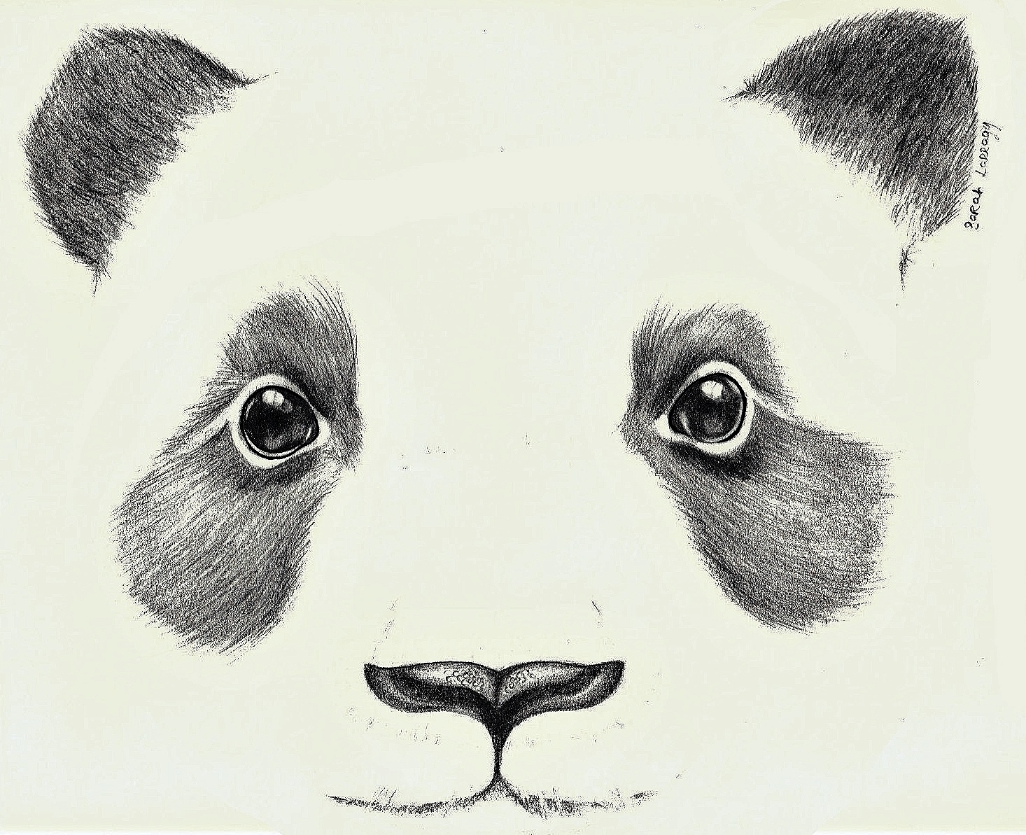 Endangered Animals Drawing at GetDrawings | Free download