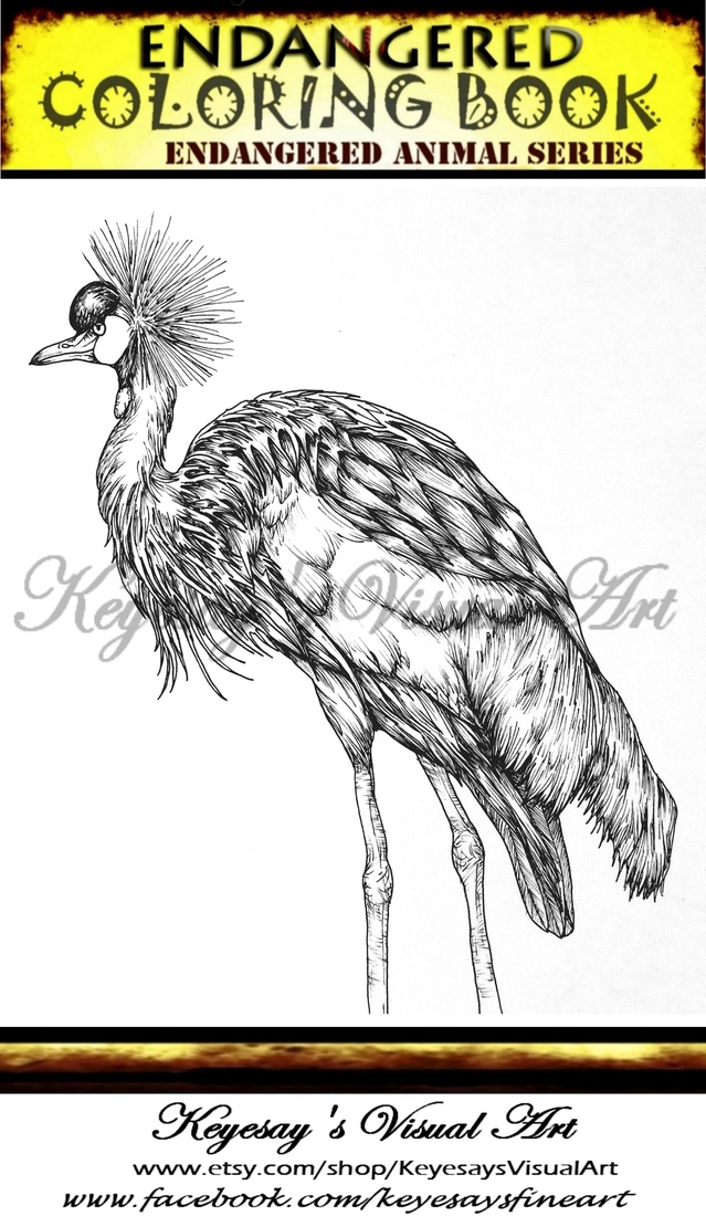 Download Endangered Species Drawing at GetDrawings.com | Free for ...