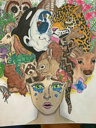 375x500 Saving Endangered Species Youth Art Contest Semifinalists