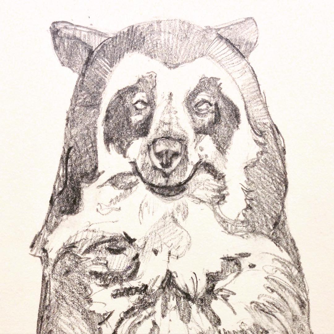 1080x1080 Spectacled Bear!