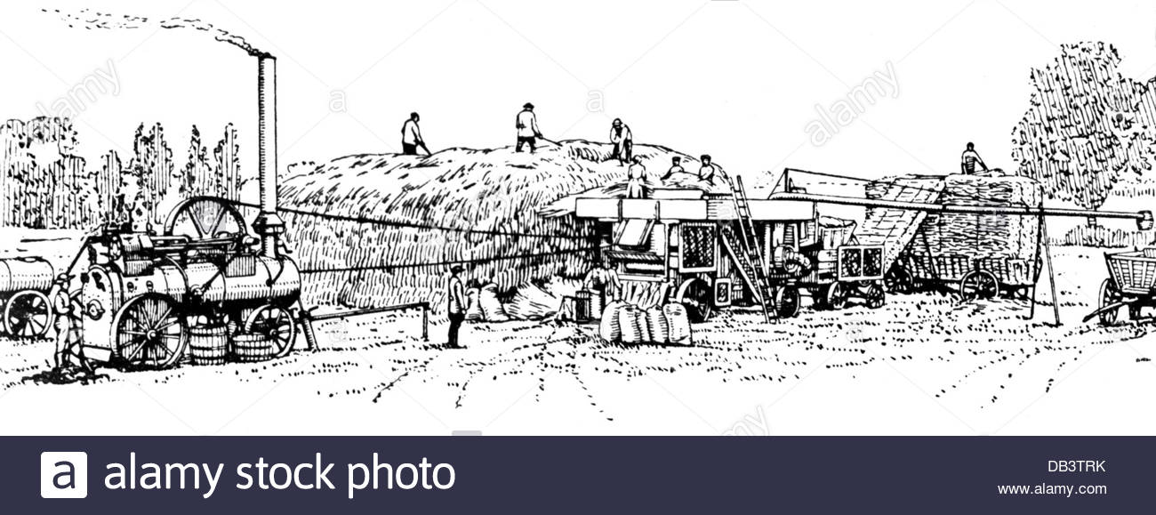 1300x579 Agriculture Farm Labour Harvest Stationary Thresher Elavator Straw