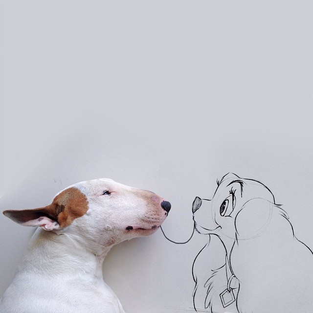 640x640 Dog Owner Creates Fun Illustrations With His Bull Terrier Bored