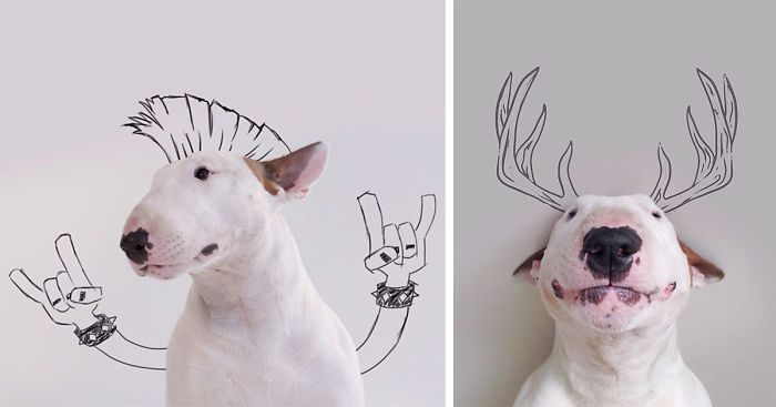 700x367 My Wife Left Me With Nothing But A Dog, So I Started This Fun