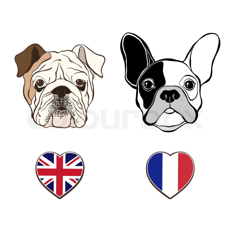 800x800 English Bulldog Face And French Bulldog Face With Heart Flags