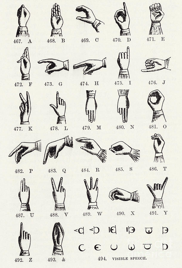 610x900 Sign Language Alphabet Drawing By English School