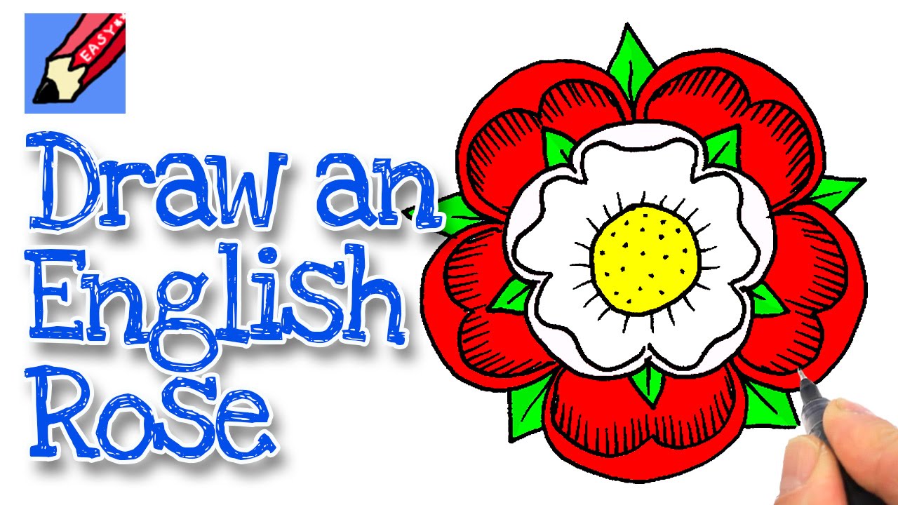1280x720 How To Draw An English Rose Real Easy