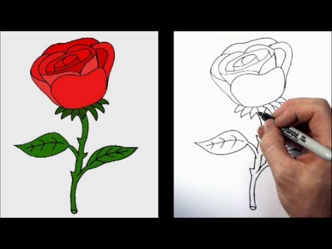 480x360 How To Draw A Cartoon Rose