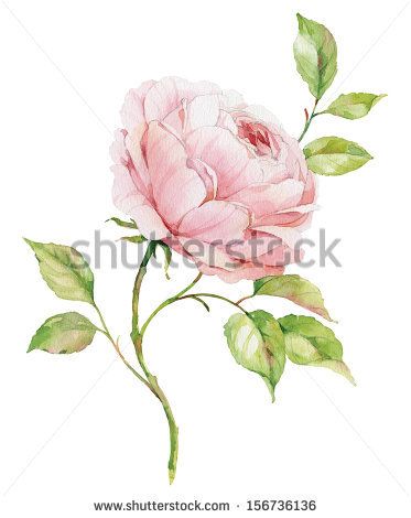 373x470 Image Subscriptions Watercolor, Watercolor Tutorials