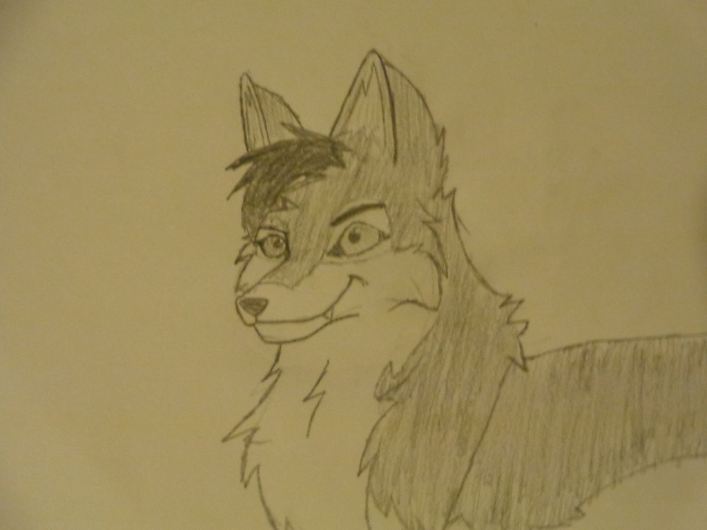 1024x768 Epicly Epic Wolf!!!!!! D (Close Up) By Stickman1400