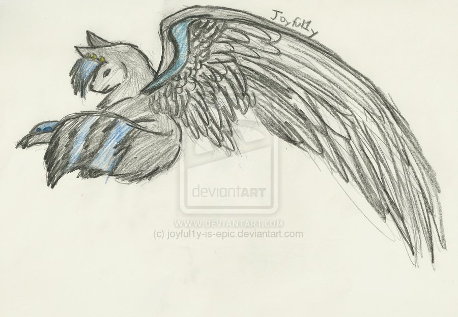 900x624 Wolf Drawing