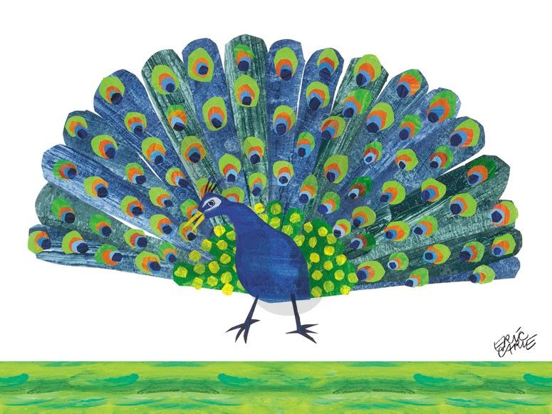 775x581 Eric Carle's Peacock