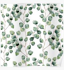 210x230 Eucalyptus Drawing Posters Redbubble