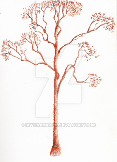 400x554 Eucalyptus Tree By Bettinamarson