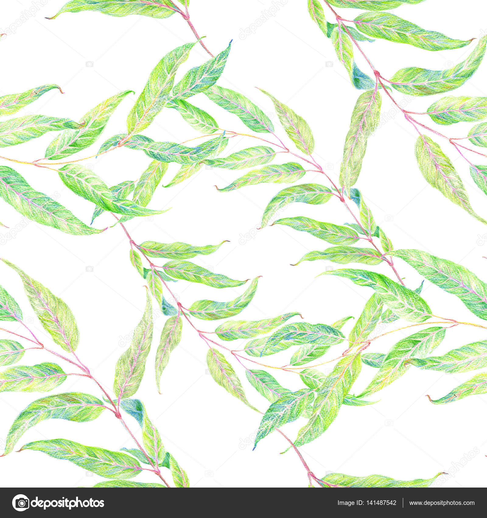 1600x1700 Branch With Leaves