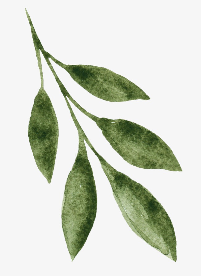 650x890 Green Leaves, Hand Painted Leaves, Green, Drawing Plant Png Image