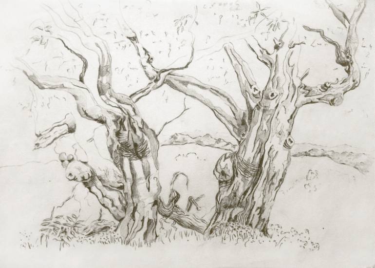 770x550 Saatchi Art Eucalyptus Tree Drawing By Peter Menne