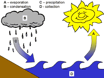 366x274 Water Cycle