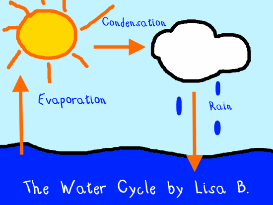 550x413 Water Cycle