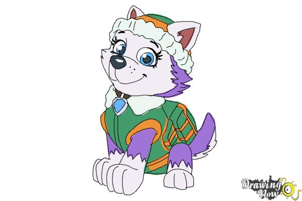 600x400 How To Draw Everest From Paw Patrol