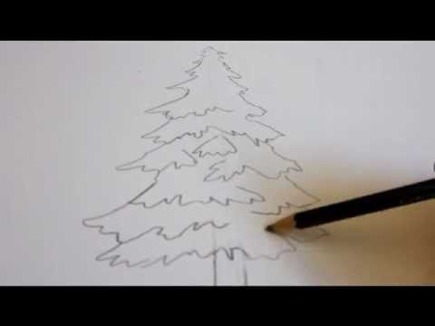 480x360 How To Draw A Tree