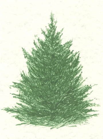 359x486 Jason  Can Evergreen Content Grow You Green