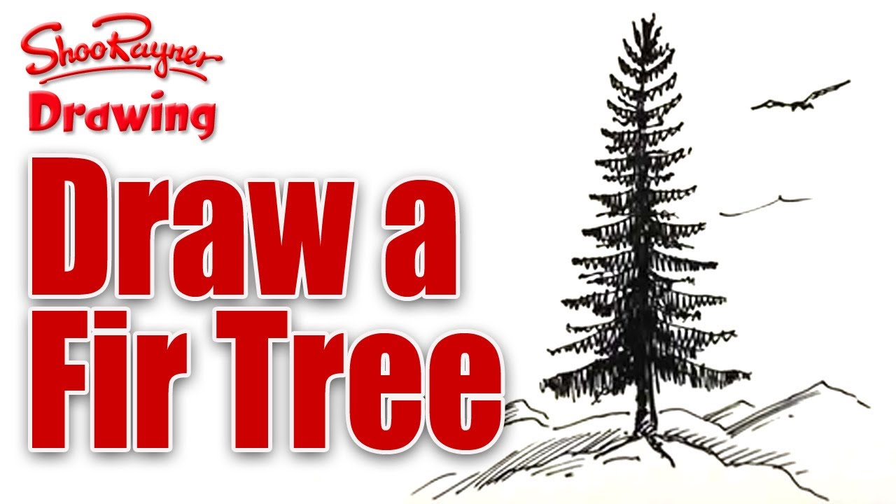 1280x720 Learn To Draw A Fir Tree