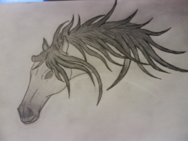 600x450 Evil Horse Head By Somefreakygurl