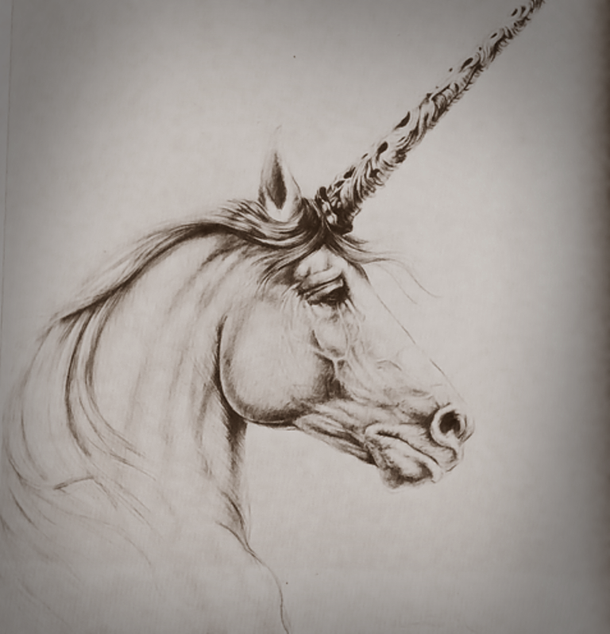 610x634 Light My Fire Amp',